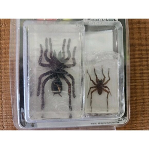 REALBUG 2 Pc Tarantula & Spider Paperweight Collection - Picture 4 of 4